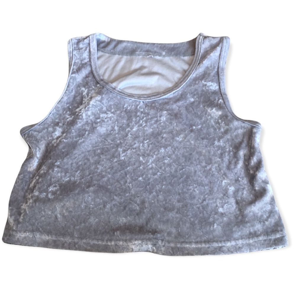 Silver Velvet Crop Top